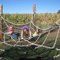 IMG_6994