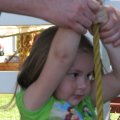 IMG_7005