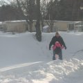 IMG_7545