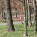 IMG_7701