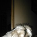 IMG_20140806_002357