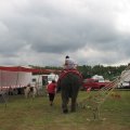 IMG_8055