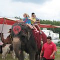 IMG_8062