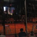 IMG_8069