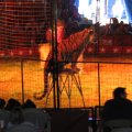 IMG_8077