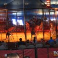 IMG_8079