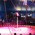 IMG_8086
