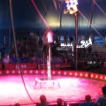 IMG_8087