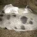 IMG_20141130_201220
