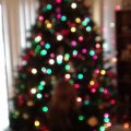 DSC00817