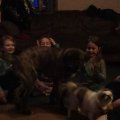 DSC00819