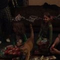 DSC00856