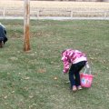 IMG_8151