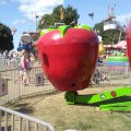 0806161628_Burst05
