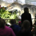IMG_8412