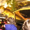 IMG_8431