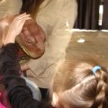 IMG_8436