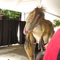IMG_8447