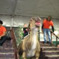 IMG_8457