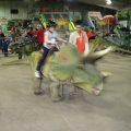 IMG_8473