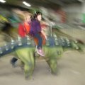 IMG_8475