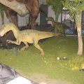 IMG_8482