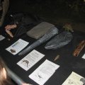 IMG_8483