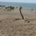 20170525_111130