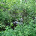 20170525_120341