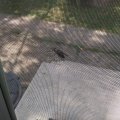 20170815_115145