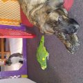 20180127_152528