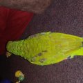 20190309_130324