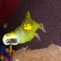20190309_130330