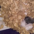 20190324_165414