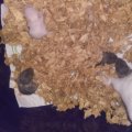 20190324_170141