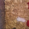 20190326_213602