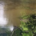 20190527_124842