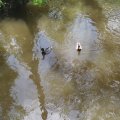 20190527_125124