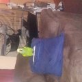 20190602_130633
