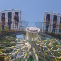 20190602_160702_Burst14