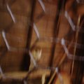 IMG_0827