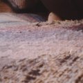 IMG_0556