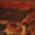IMG_0599