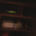 IMG_0701