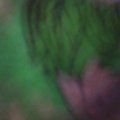 DC000400