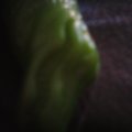 DC000417