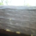 DC000598