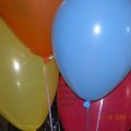 15362_1205344586814_1624646059_528238_830719_n