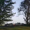 20150901_080244