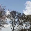 20150902_143654